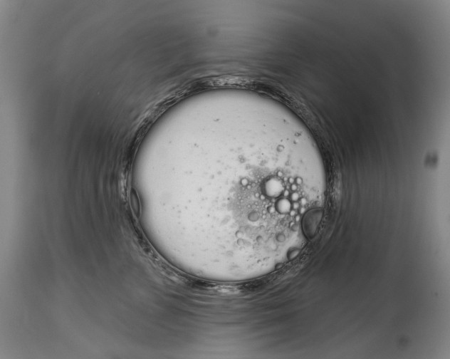 X0000115110715200911171305