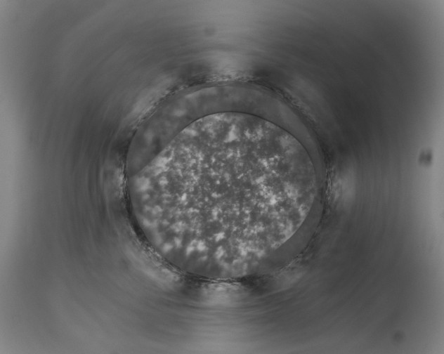 X0000115110716200911171305