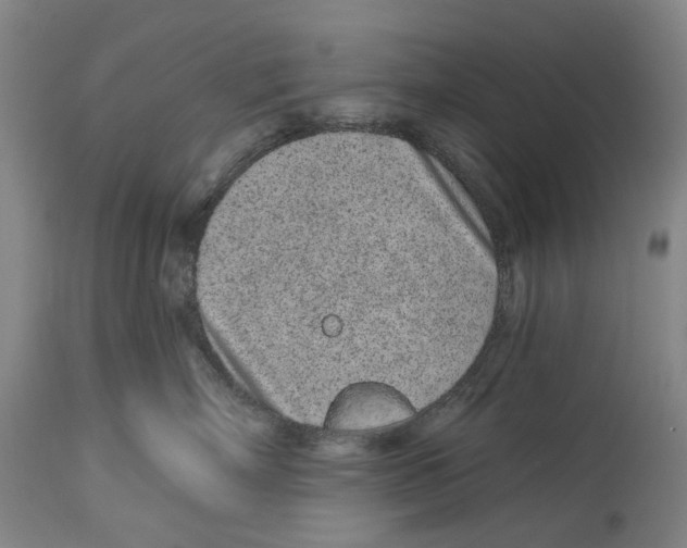 X0000115110718200911171305