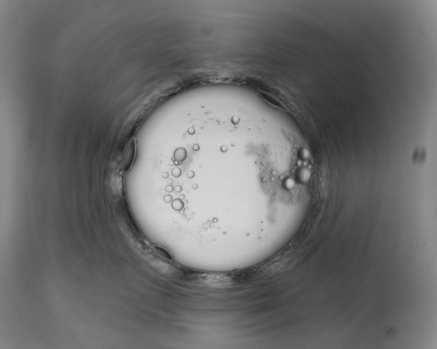 X0000115110719200911171305