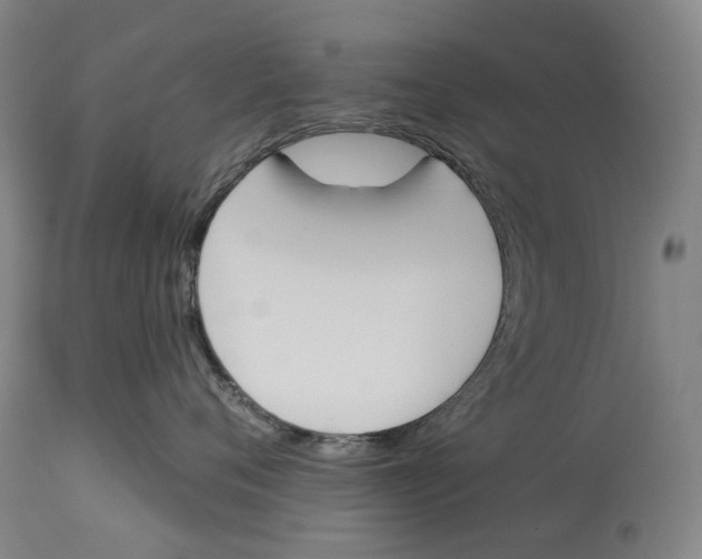 X0000115110720200911171305