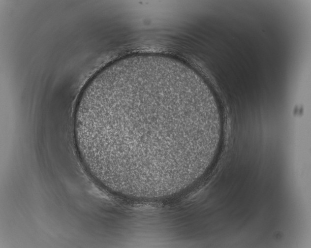 X0000115110721200911171305