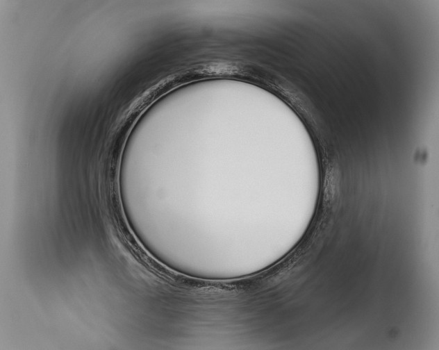 X0000115110722200911171305