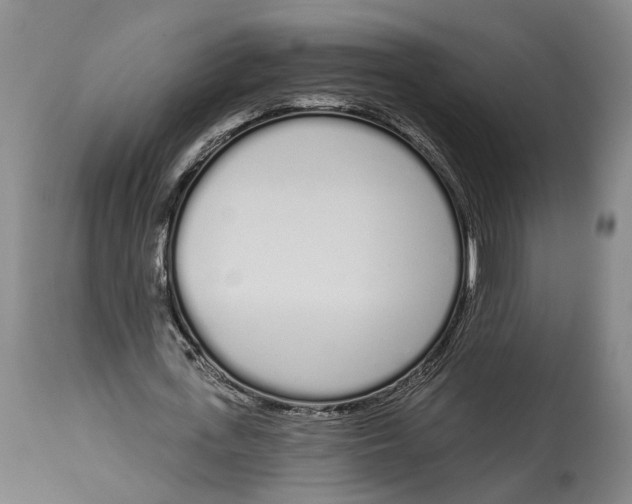 X0000115110723200911171305