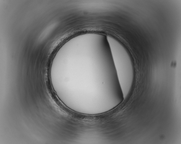 X0000115110725200911171305