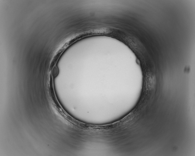 X0000115110726200911171305