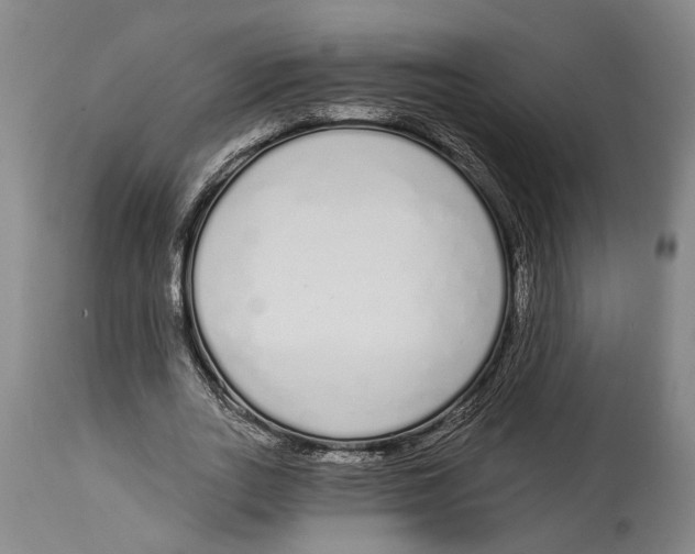 X0000115110727200911171305