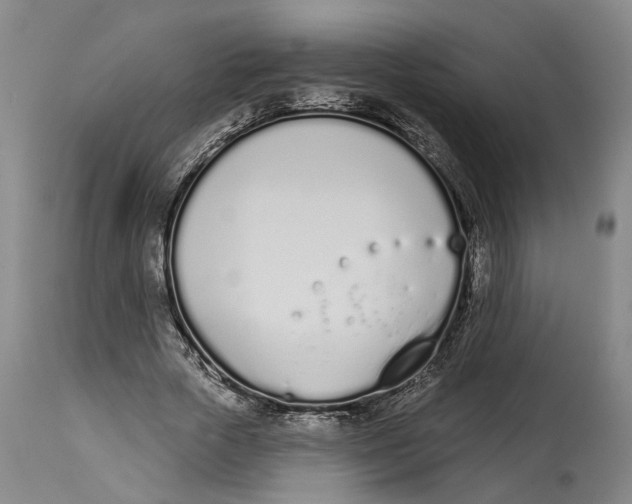 X0000115110729200911171305