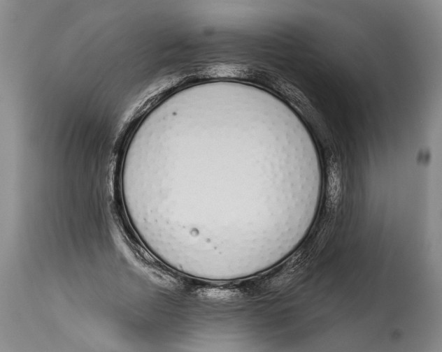 X0000115110730200911171305