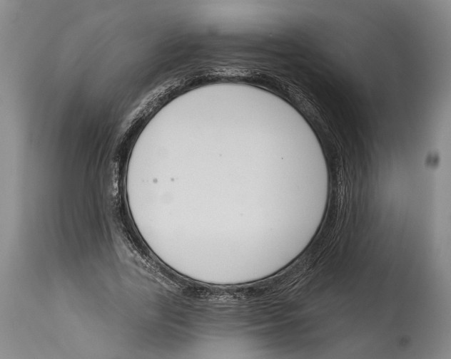 X0000115110731200911171305
