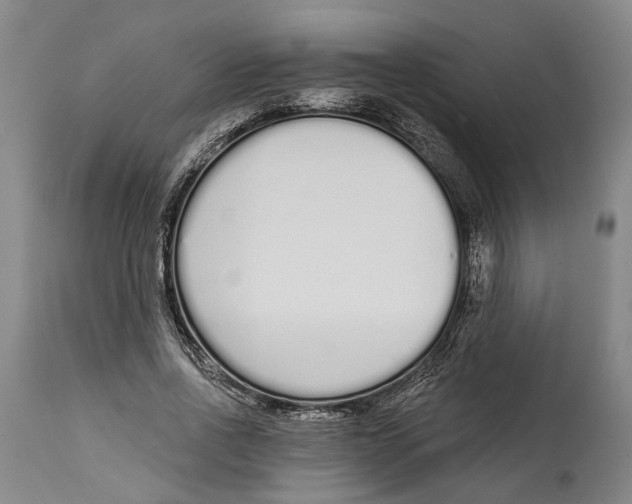 X0000115110734200911171305