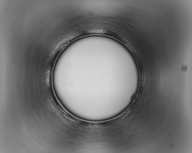 X0000115110735200911171305