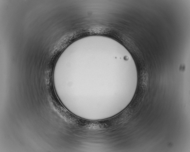 X0000115110738200911171305