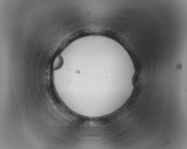 X0000115110739200911171305