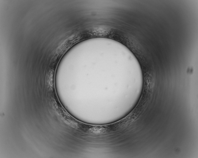 X0000115110745200911171305