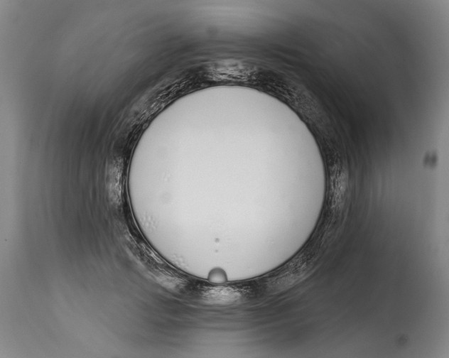 X0000115110749200911171305