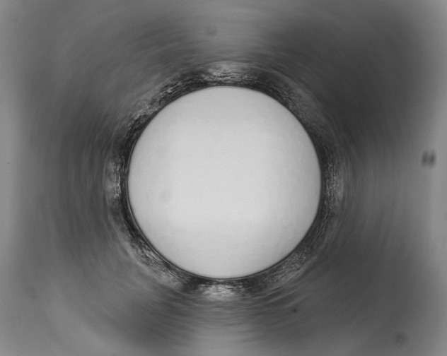 X0000115110751200911171305