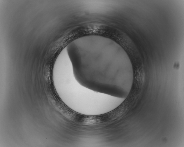 X0000115110754200911171305