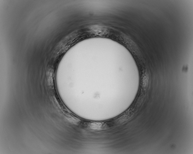 X0000115110757200911171305