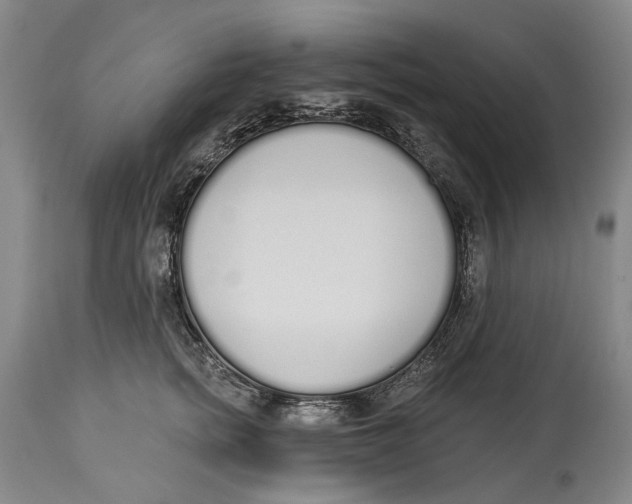 X0000115110758200911171305