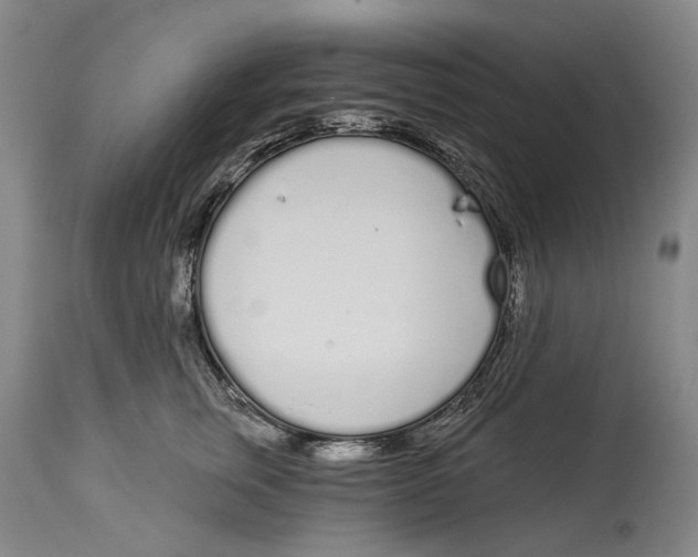 X0000115110759200911171305