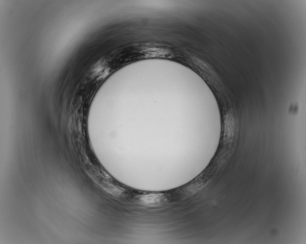 X0000115110761200911171305