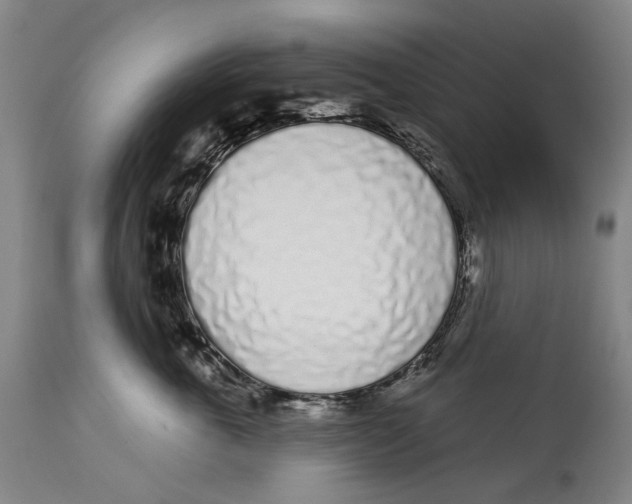 X0000115110763200911171305