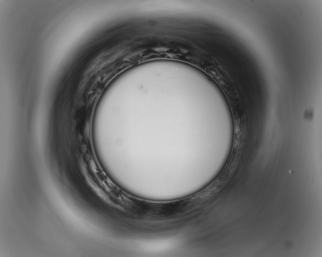 X0000115110765200911171305