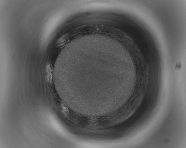 X0000115110766200911171305