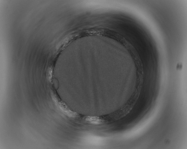 X0000115110767200911171305