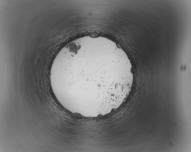 X0000115110769200911171305