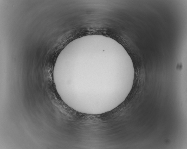 X0000115110770200911171305