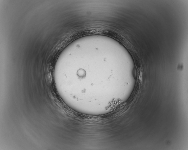 X0000115110771200911171304