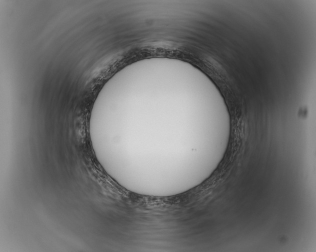 X0000115110774200911171304