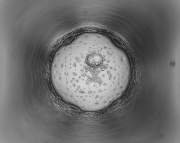 X0000115110775200911171304