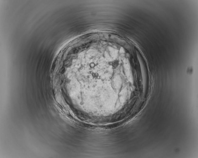 X0000115110779200911171304