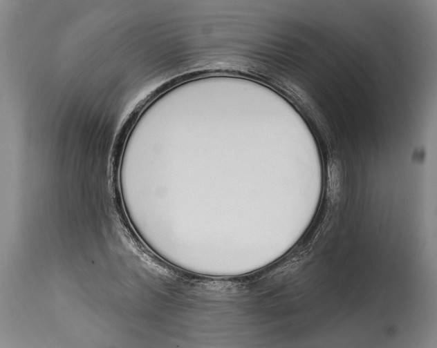 X0000115110780200911171304