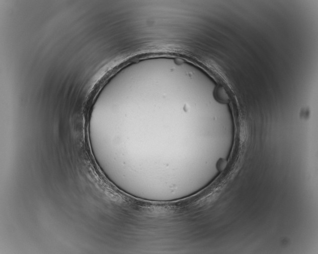 X0000115110781200911171304