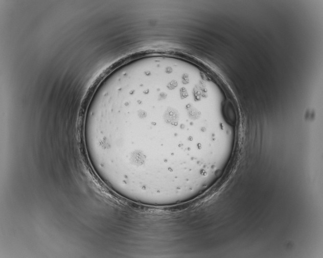 X0000115110783200911171304