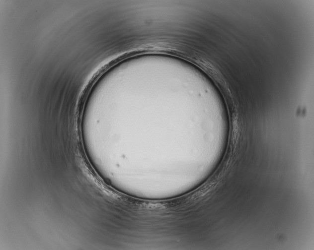 X0000115110784200911171304