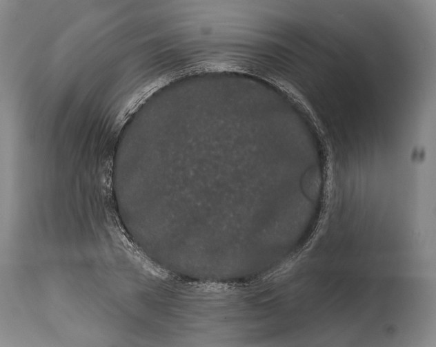 X0000115110785200911171304