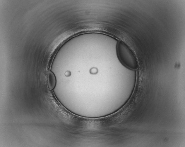 X0000115110789200911171304