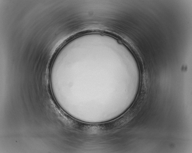 X0000115110791200911171304