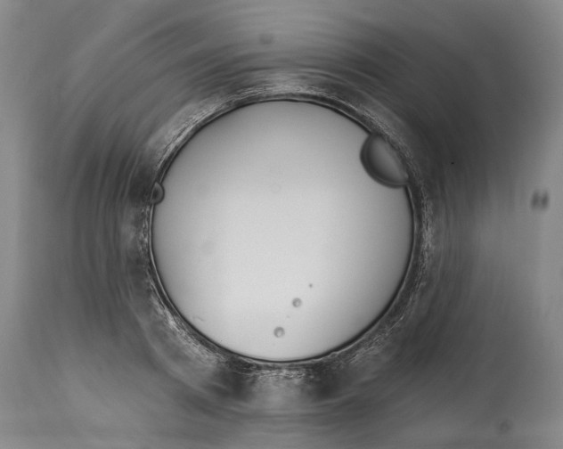 X0000115110793200911171304