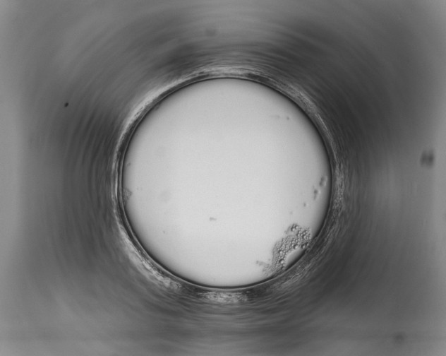X0000115110795200911171304