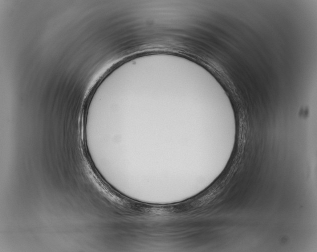 X0000115110796200911171304