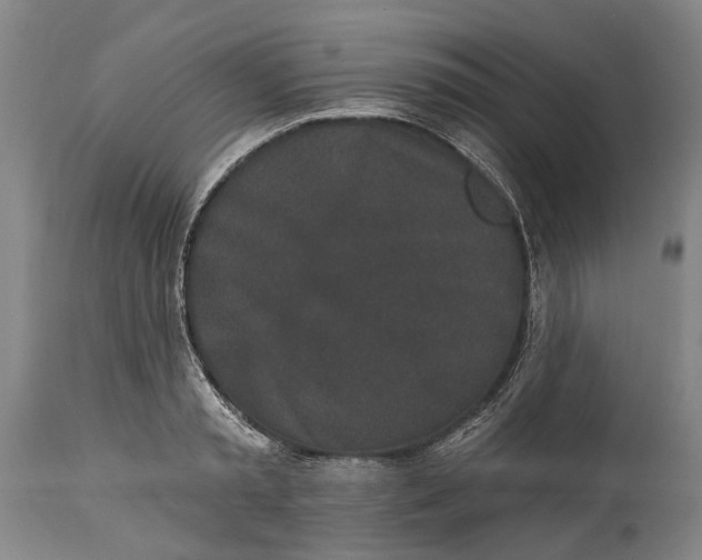 X0000115110797200911171304