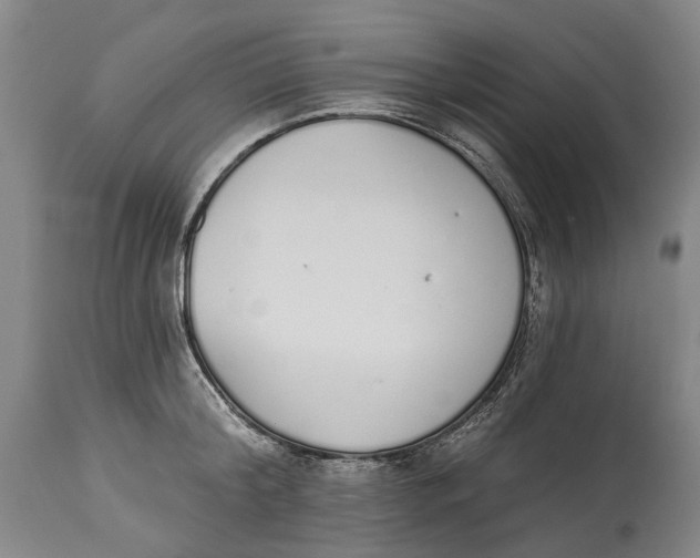 X0000115110804200911171304