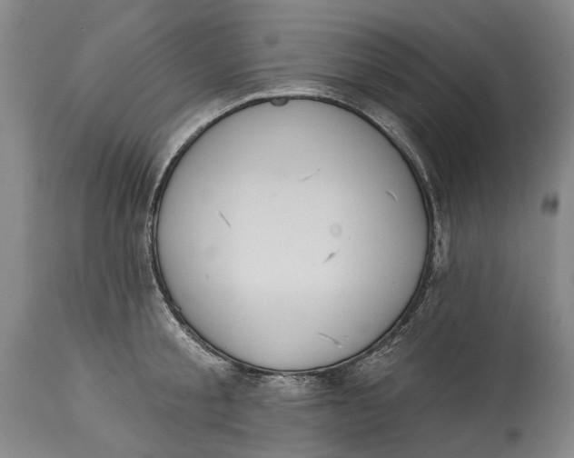 X0000115110805200911171304