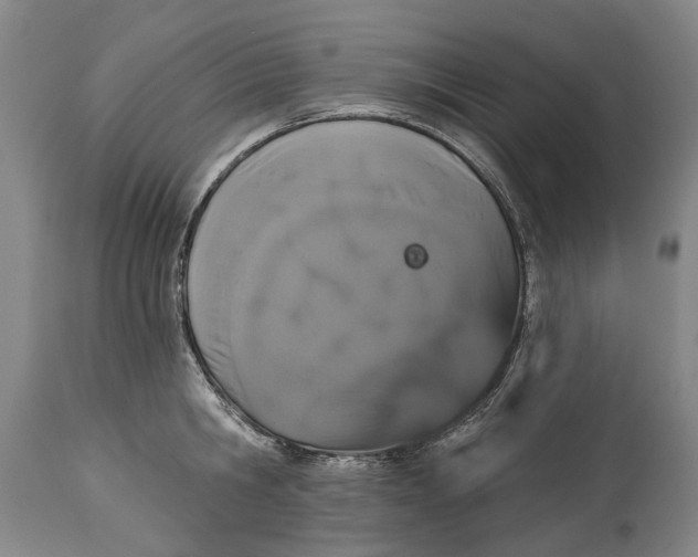 X0000115110806200911171304